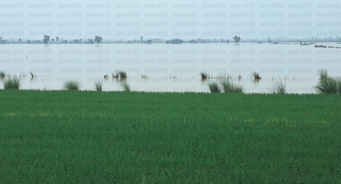 PunjabKesari